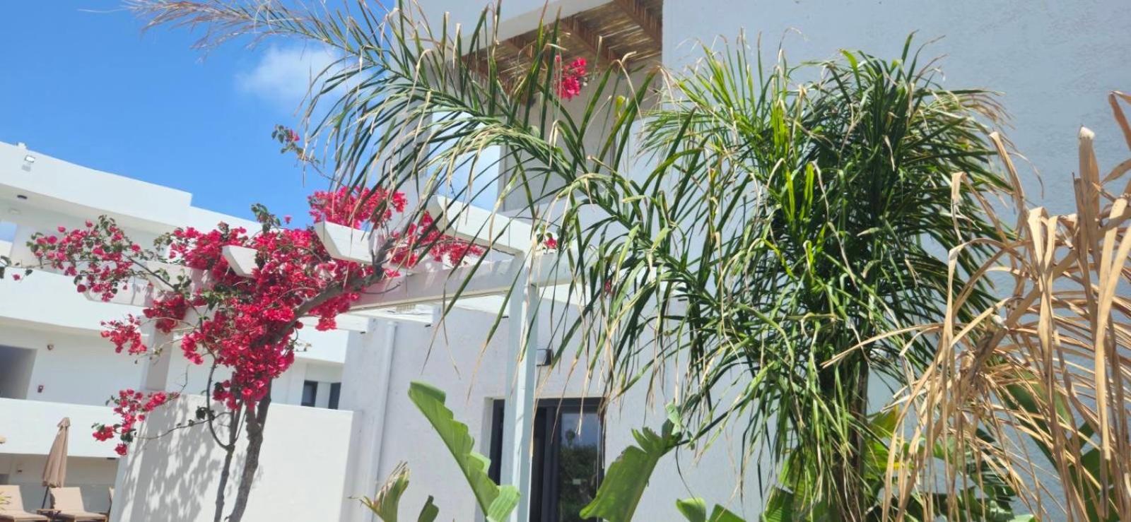 Aegean View Hotel - Adults Only Sfáka Exterior foto